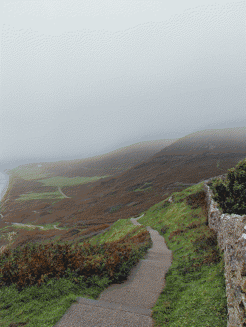 Fog envelopes a footpath which meanders down a coastal path. Green and brown flora surround the path, with a sliver of the sea on the left hand side.